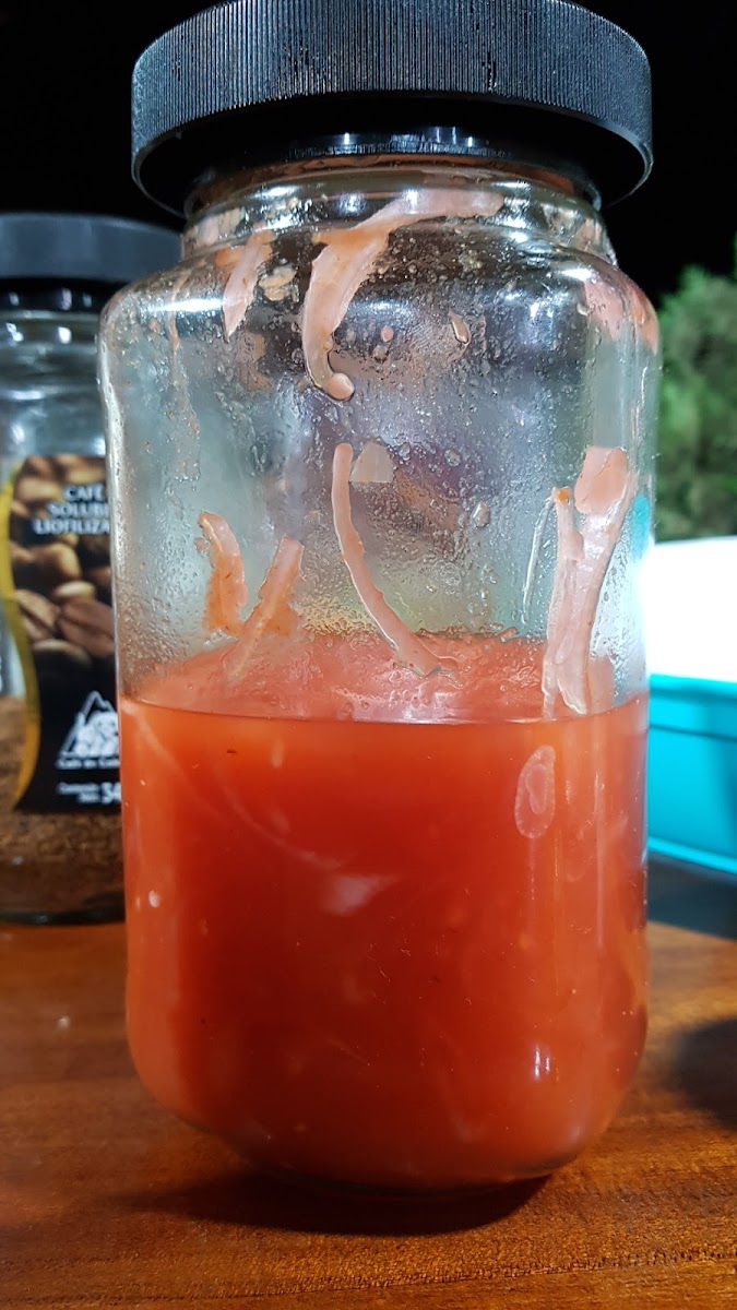 Las Comidas De Jessenia 'la Sazón Que Gusta'-10